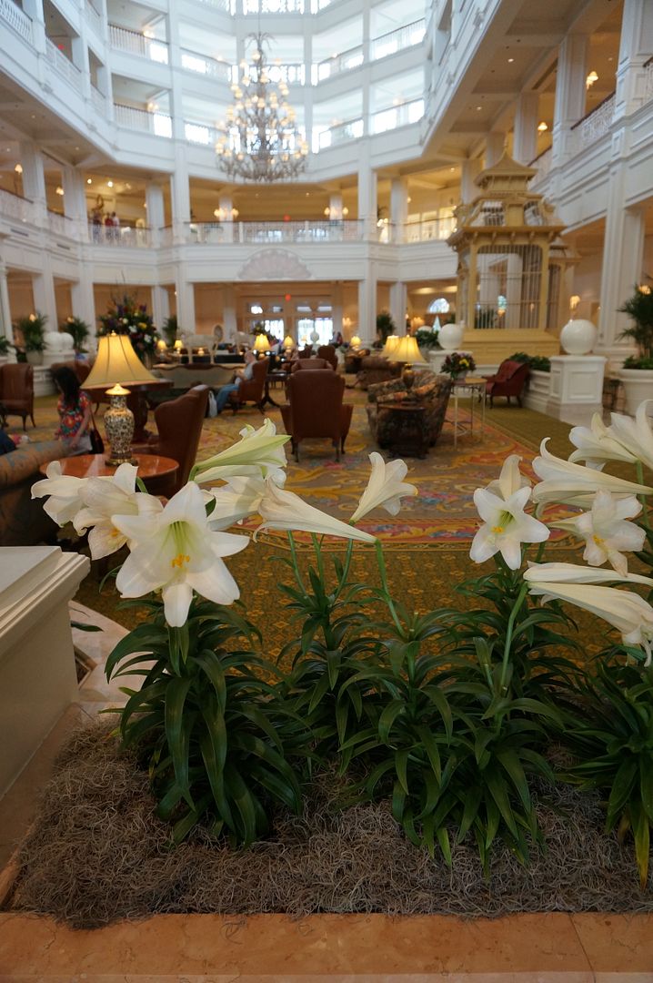 Grand Floridian Cafe Breakfast Taste of Disney